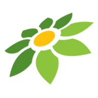 TSUBASA AMAMI MISSAV